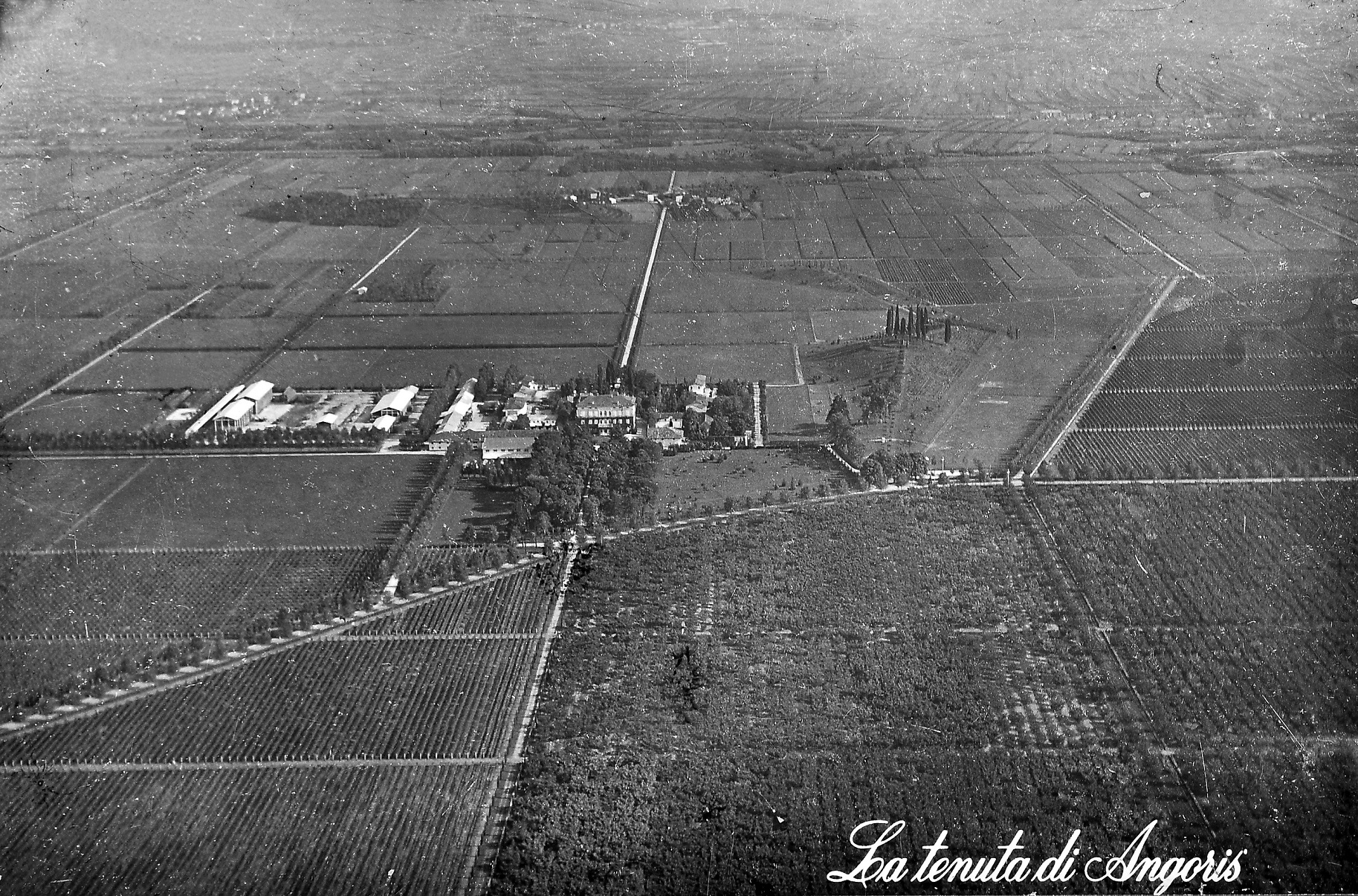 Foto storica Langoris, Tenuta di Angoris