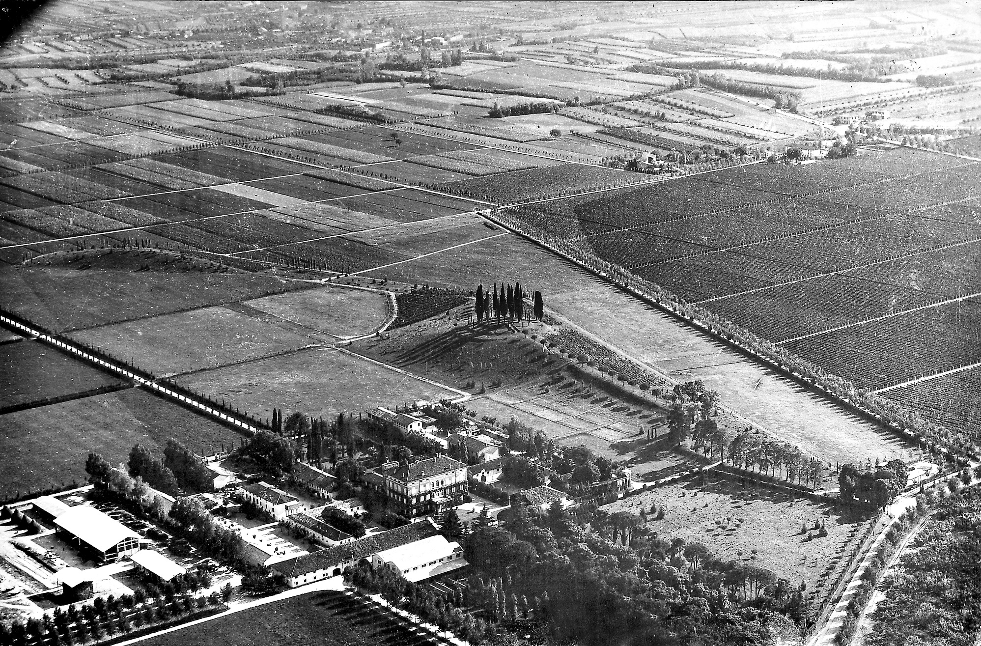 Foto storica Langoris, Tenuta di Angoris