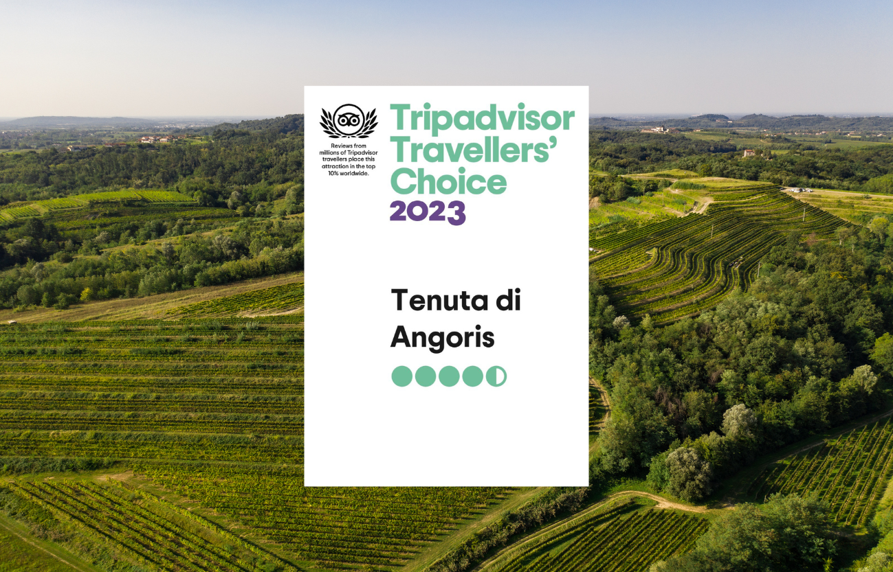 Premio Travellers' Choice