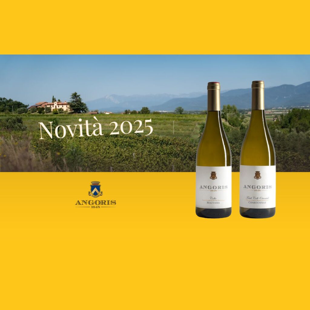 News 2025: Chardonnay and Malvasia Lines Angoris